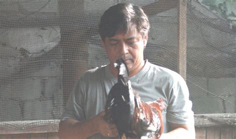 sabong movie